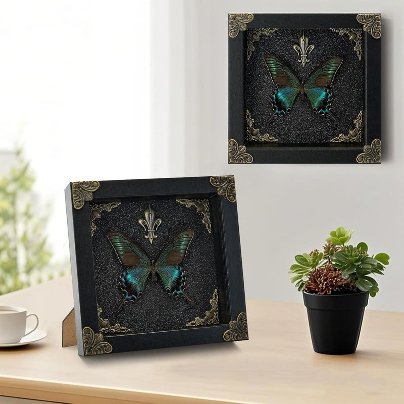 GDBEH Real Butterfly Framed Handmade - Taxidermy Butterfly Shadow Box - Real Framed Butterflies in a Box for Gothic Home Decor Aesthetic. (Green-Banded Queen Butterfly) - Image 4
